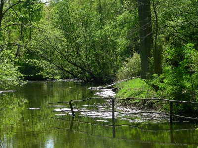 Tierpark Stralsund