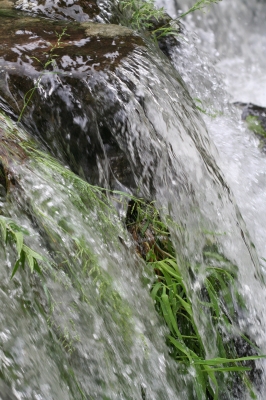 Wasser in Bewegung