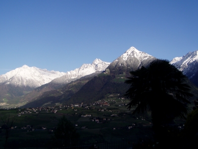 Neuschnee auf der Texelgruppe in Südtirol