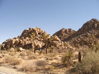 JOSHUA TREE NATIONALPARK