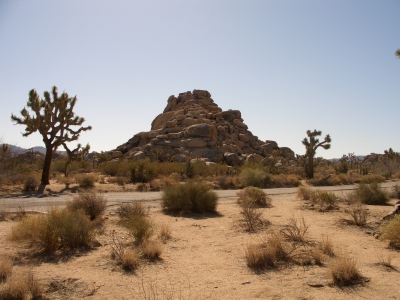 JOSHUA TREE NATIONALPARK