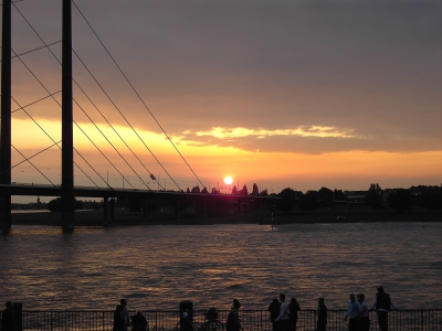 Rheinkniebrücke mit Sonnenuntergang (3)