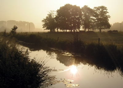 Morgenromantik auf dem Lande