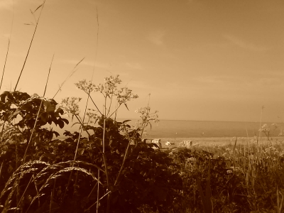 Strandlandschaft