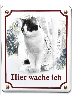 mein Kater Ernie als Wachhund