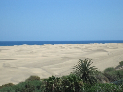 Die Dünen von Maspalomas