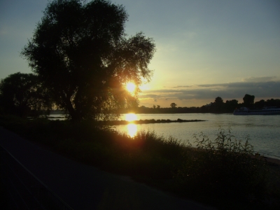 Rhein in Köln