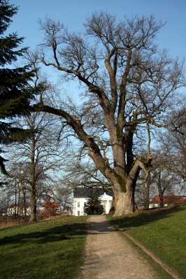 Im Schlosspark von Putbus