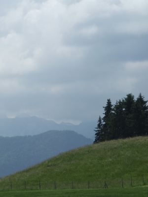 auf der Alm unterwegs