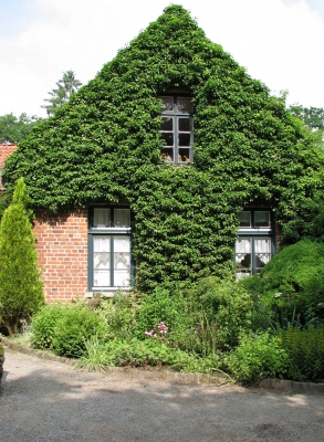 Efeuhaus im Park