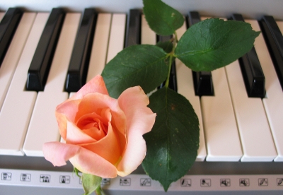 Rosen und Musik bringen jedes Herz zum schmelzen