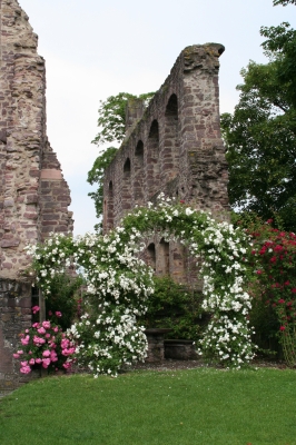 Rosenbögen mit Burg im Hintergrund