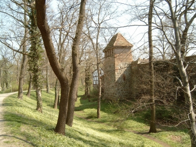 Frühling auf dem Wall2