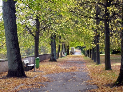 Allee Villa Hügel