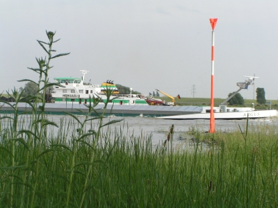 Rhein03