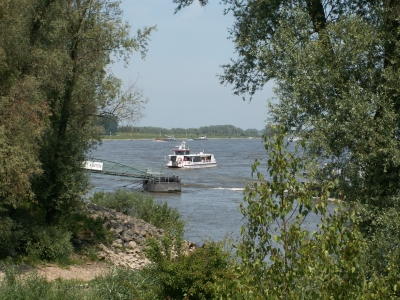 Rhein06