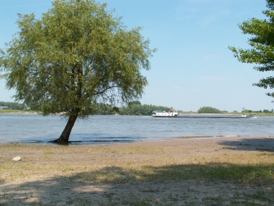 Rhein16