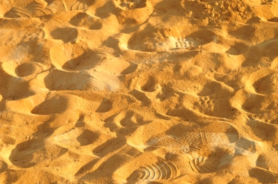 Sand-Trampler