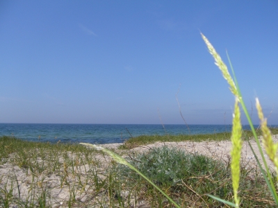 Ostseestrand Schweden