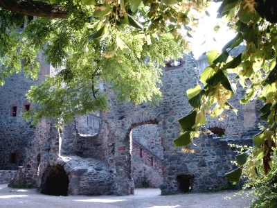 Auf der Burg Frankenstein