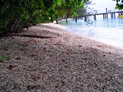 Fitzroy Island 2