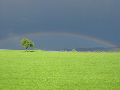 Regenbogen im Juni 2007