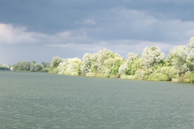 Ufer in Maasbommel