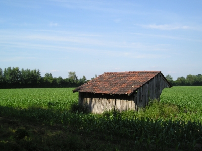 " Steh allein im Nirgendwo.. "