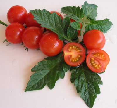 Tomaten-Traube