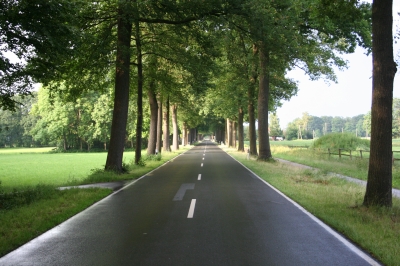 Lange Straßen Allee