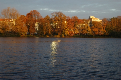 Herbst am Schäfersee