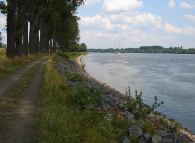 Uferweg am Rhein