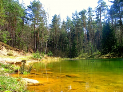 Frieden am Waldsee