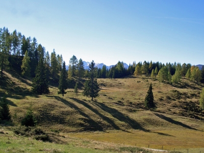 Verträumte Landschaft