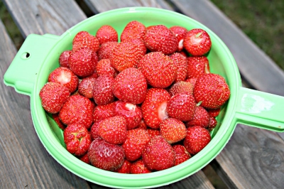 Die letzten Erdbeeren!