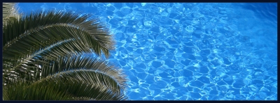 Pool und Palme