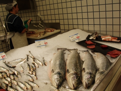 Fischmarkt auf Madeira