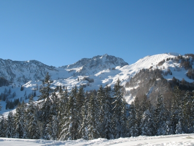 Skigebiet Fieberbrunn Österreich