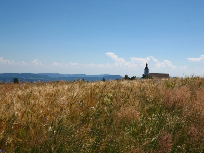 Brotlandschaft