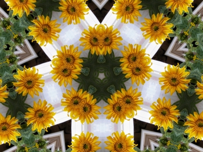 Kaleidoskop von 1 Sonnenblume