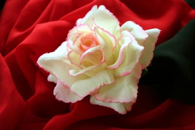 Rose auf rotem Stoff