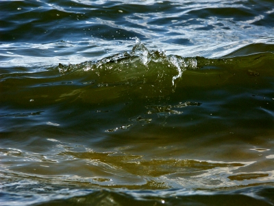 müggelsee in berlin 1te