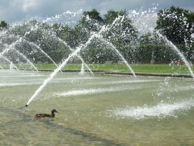 Springbrunnen im Nordpark am Aquazoo Düsseldorf
