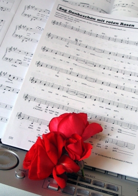 Sag Dankeschön mit roten Rosen