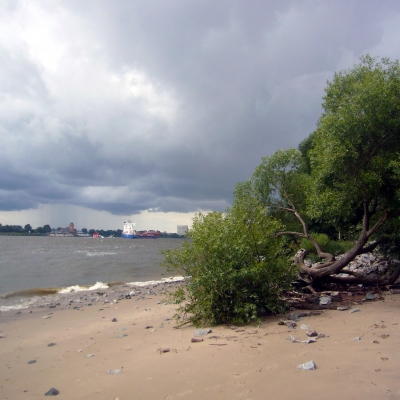 An einem Sommertag an der Elbe