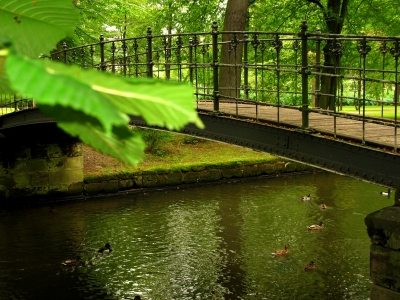 "Idylle im Park"