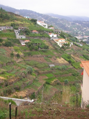 Madeira - Cabo Girao