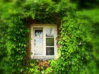 "Fenster zum Park"