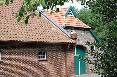 Bauernhof in Friesland