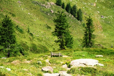 Rastplatz auf der Alm